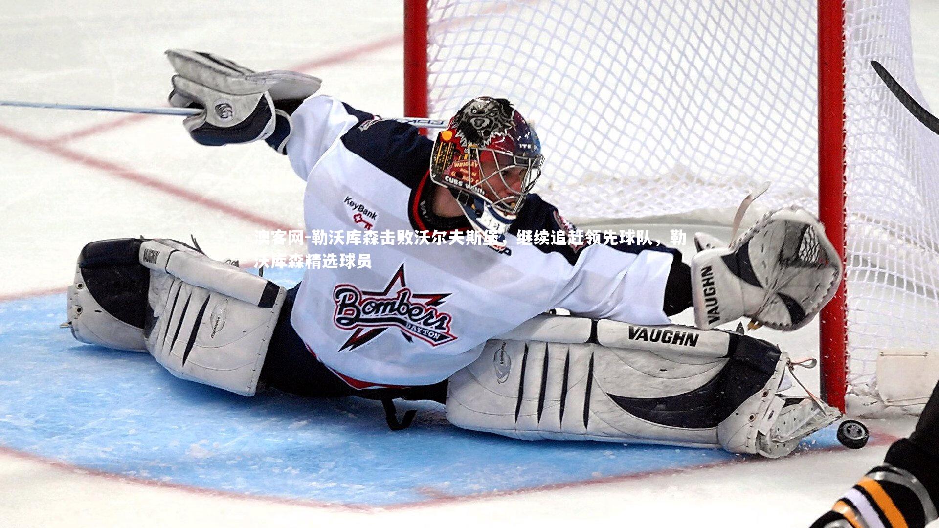 澳客网-勒沃库森击败沃尔夫斯堡，继续追赶领先球队，勒沃库森精选球员