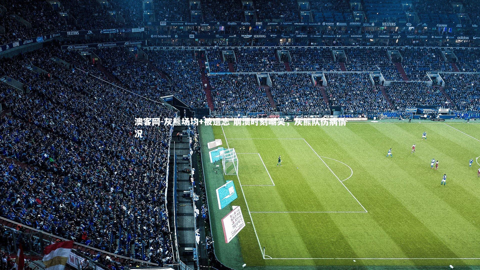 澳客网-灰熊场均+被遗忘 崩溃时刻嘲笑，灰熊队伤病情况